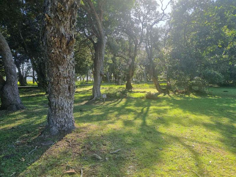 0 Bedroom Property for Sale in Brenton On Lake Western Cape